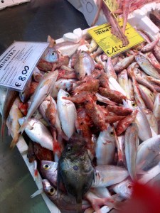 Shopping with the Chef Shopping with the Chef