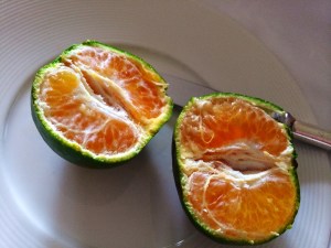 Bangkok Food Tour!